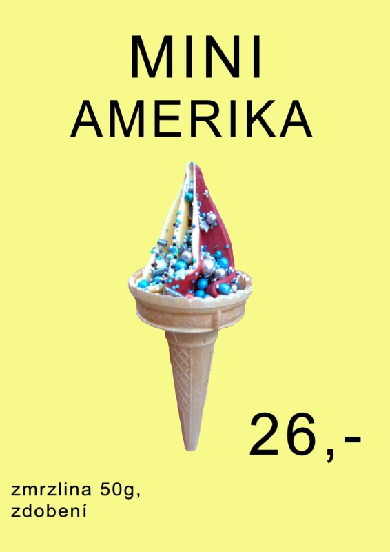 amerika mini 2026